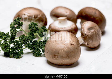 Braune Pilze mit Petersilie auf weißem Hintergrund - Close up Stockfoto