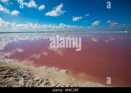 Salz Rosa Lagune in Las Coloradas, Yucatan, Mexiko Stockfoto