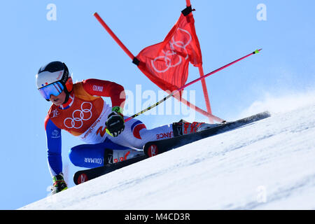 Pyeongchang, Südkorea. Credit: MATSUO. 15 Feb, 2018. Tessa Worley (FRA) Ski Alpin: Frauen Riesenslalom in Yongpyong Alpine Center während der PyeongChang 2018 Olympic Winter Games in Pyeongchang, Südkorea. Credit: MATSUO. K/LBA SPORT/Alamy leben Nachrichten Stockfoto