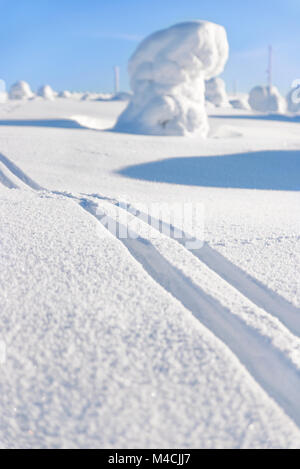 Markierungen im unberührten Schnee Downhill oder Langlaufski mit Schnee Bäume im Hintergrund, zeigen in Finnland auf einem sonnigen Winter/Frühling. Stockfoto