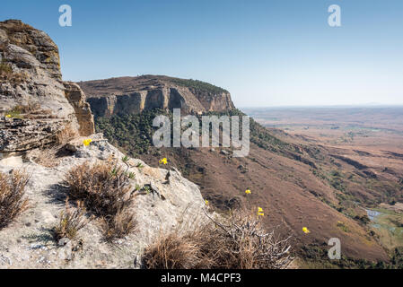 Isalo Nationalpark, Madagaskar Stockfoto