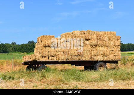 Heuballen auf einem fahrbaren Wagen Warenkorb an einem Bauernhof im Pazifischen Nordwesten Landschaft von Bellingham, Washington, USA. Immergrüne Bäume sind auf der Rückseite. Stockfoto