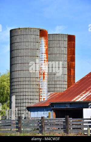 Zwei Silos auf einem Bauernhof in der schönen pazifischen Nordwesten Landschaft von Ferndale, Washington, USA. Stockfoto