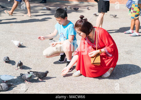 CHIANG MAI, THAILAND - 28. Januar 2018 ; Frau in hellen roten Kleid kauert füttern Tauben in Pratu Tha Phae Park außerhalb der alten Stadtmauer Ost gat Stockfoto