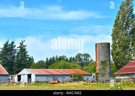 Bauern arbeiten auf etwas Holz an einem schönen pazifischen Nordwesten Bauernhof auf dem Lande in Ferndale, Washington, USA. Stockfoto