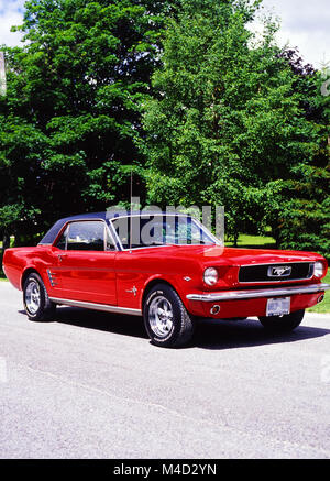 1966 Ford Mustang Stockfoto
