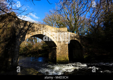 Neue Brücke, Dartmoor, Devon, England Stockfoto