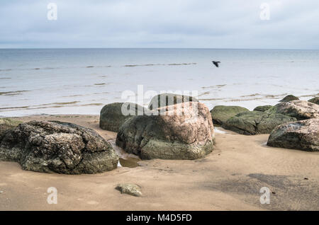 Felsiger Strand am Golf von Finnland. Sillamae, Estland Stockfoto