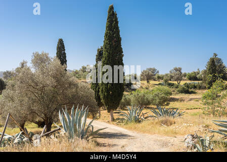 Die Landschaft rund um das Dorf Pitsidia auf Kreta Stockfoto