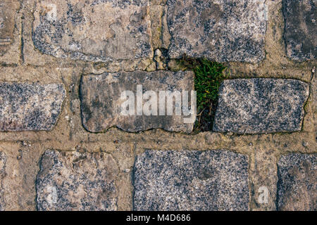 Stein. Steinboden mit Gras, Hintergrund. Makro. Stockfoto