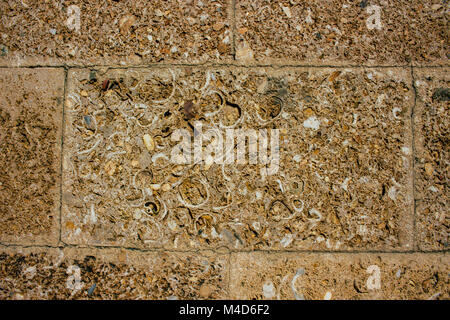 Wand. Traditionelle Wand von Cádiz aus Muscheln und Sand. Stockfoto