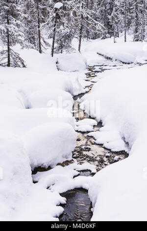 Creek im winterlichen Wald, Lappland, Finnland Stockfoto