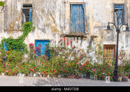 Blumenbewachsenen Haus in Paleochora auf Kreta Stockfoto