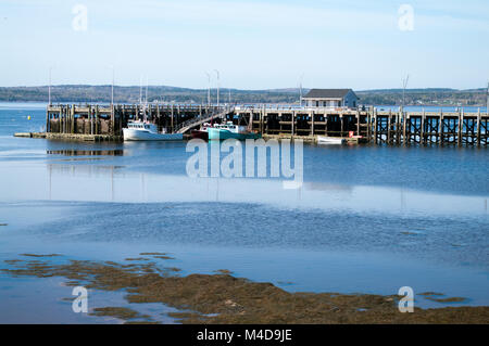 St Andrews Angeln Wharf bei Ebbe Stockfoto