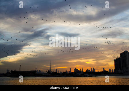 Wolkiger Himmel mit Zugvögeln und die Skyline von Dubai Der Hintergrund Stockfoto