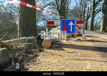 Probleme mit dem Verkehr Verkehrsschild Schäden durch Sturm umgefallene Baum Stockfoto