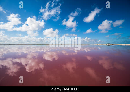 Salz Rosa Lagune in Las Coloradas, Yucatan, Mexiko Stockfoto