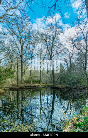 In den kleinen Teich und Bäume Stockfoto