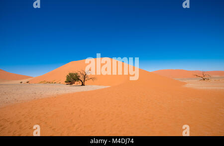 Düne 45, Sossusvlei, Namib-Naukluft-Nationalpark, Namibia Stockfoto
