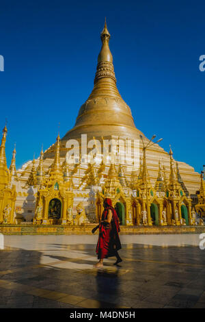 Mönch vorbei Shwedagon Pagode in Yangon, Myanmar Stockfoto