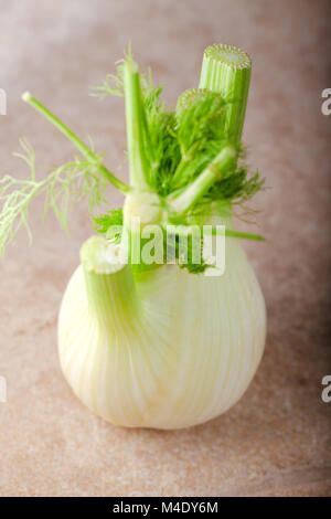 Frische vegetarische Gerichte. Fenchel auf einer hölzernen Oberfläche Stockfoto