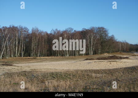 Hamburg Boberg Dünen im Winter Stockfoto