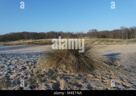 Hamburg Boberg Dünen im Winter Stockfoto