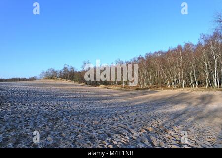 Hamburg Boberg Dünen im Winter Stockfoto