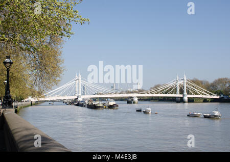 Themse London von Chelsea mit Albert Bridge Stockfoto