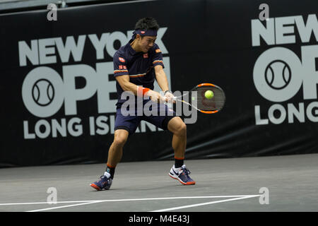 Uniondale, United States. 14 Feb, 2018. Kei Nishikori von Japan zurück Kugel während der 2. Runde Spiel gegen Evgeny Donskoi Russlands an ATP 250 New York Open Turnier im Nassau Coliseum Credit: Lev Radin/Pacific Press/Alamy leben Nachrichten Stockfoto