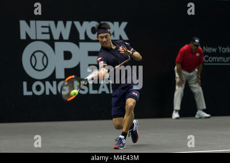 Uniondale, United States. 14 Feb, 2018. Kei Nishikori von Japan zurück Kugel während der 2. Runde Spiel gegen Evgeny Donskoi Russlands an ATP 250 New York Open Turnier im Nassau Coliseum Credit: Lev Radin/Pacific Press/Alamy leben Nachrichten Stockfoto