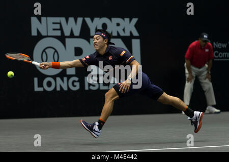 Uniondale, United States. 14 Feb, 2018. Kei Nishikori von Japan zurück Kugel während der 2. Runde Spiel gegen Evgeny Donskoi Russlands an ATP 250 New York Open Turnier im Nassau Coliseum Credit: Lev Radin/Pacific Press/Alamy leben Nachrichten Stockfoto