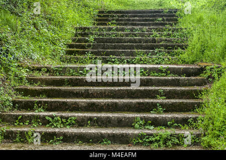 Alten, verlassenen Stein Treppe Stockfoto
