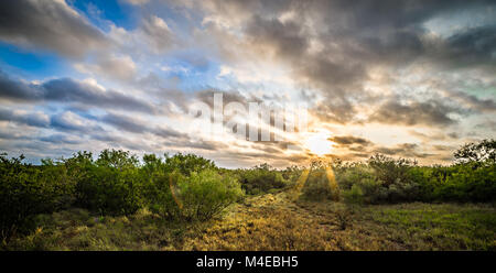 Schönen Sonnenaufgang über Texas hügel landschaft Stockfoto