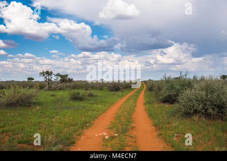 Schmutzigen Straße in Kalahari-Wüste Stockfoto