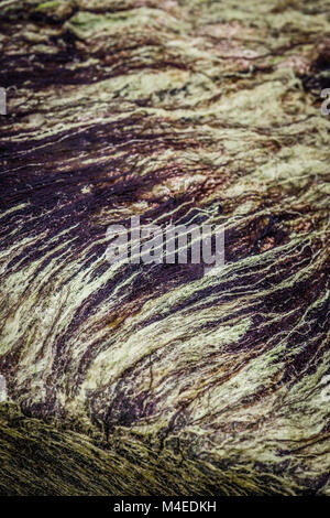 Schwarze und weiße Textur von Seegras Stockfoto
