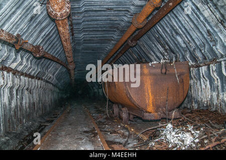 Katze in der Mine Tunnel mit Schienen Stockfoto