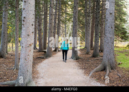 Frau, die auf einem Waldpfad, South Dakota, USA Stockfoto