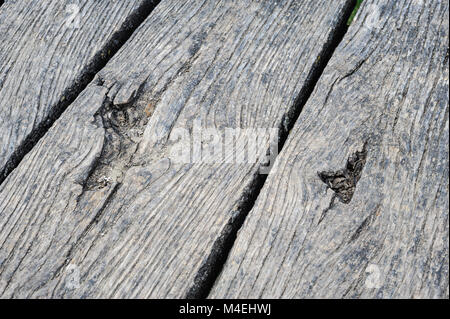 Alte im Alter von Holzplanken in Sicht Stockfoto