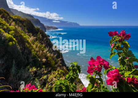 Blumen an der Küste in Boaventura - Madeira Portugal Stockfoto