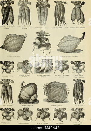 Jährliche Katalog von Preis- und Reed, Geo H. Preis, Nachfolger - Importeure, Züchter und Händler in feine Blume, Gemüse und Samen auch Händler in Gärtnerischen und landwirtschaftlichen Geräten (1900) (20371370540) Stockfoto