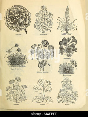 Die jährlichen Kreis- und Einzelhandel Katalog von zugesicherten Gemüse- und Blumensamen (1876) (14582422589) Stockfoto