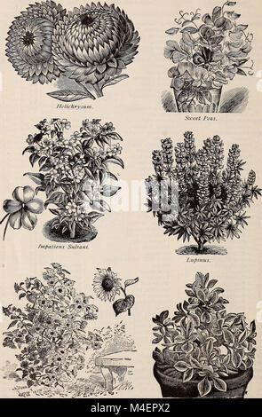 Jährliche beschreibenden Katalog von Alfred Bridgeman Blumen-, Gemüse- und Grassamen (1898) (20382564600) Stockfoto