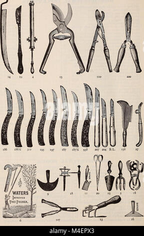 Jährliche beschreibenden Katalog von Alfred Bridgeman Blumen-, Gemüse- und Grassamen (1898) (20561572962) Stockfoto