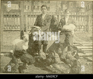 Das Jahresprogramm für die Einhaltung der Arbor Day in den Schulen von Rhode Island. (1918) (14583719548) Stockfoto