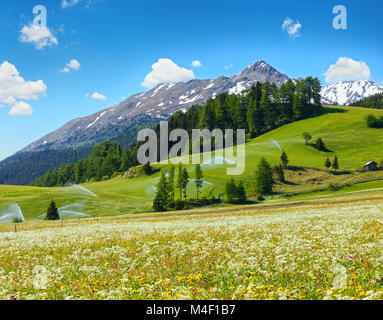 Wasser zur Bewässerung Tüllen im Sommer Alpen Berg Stockfoto