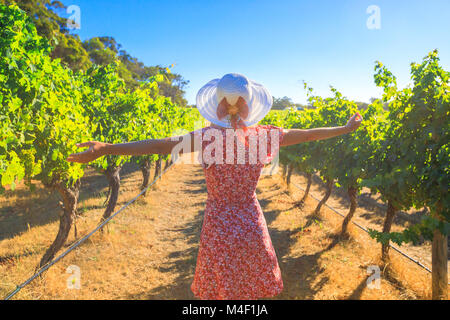 Australische Weinberg. Sorglos blonde Frau mit offenen Armen unter den Reihen der Trauben, genießt die Ernte in Margaret River wie der Wein Region in Western Australia bekannt. Stockfoto