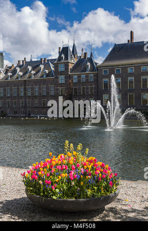 Parlament und Gerichtshof Gebäude Binnenhof - Haag Niederlande Stockfoto