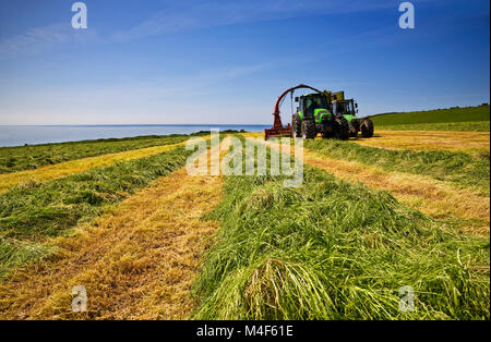 Sommer-Silage schneiden, in der Nähe von Bunmahon, Grafschaft Waterford, Irland Stockfoto