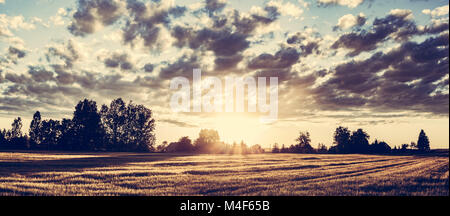 Landschaft Panorama bei Sonnenuntergang. Goldene Weizen Feld Stockfoto